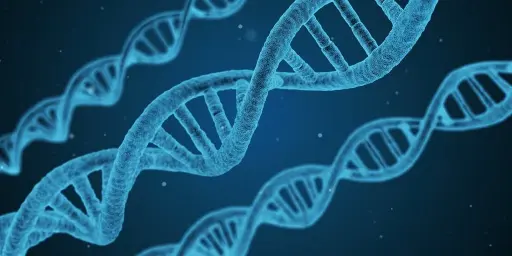 https://cdn12.picryl.com/photo/2016/12/31/dna-string-biology-science-technology-e2fd15-1024.jpg